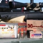 43351208854_76b1209514_b