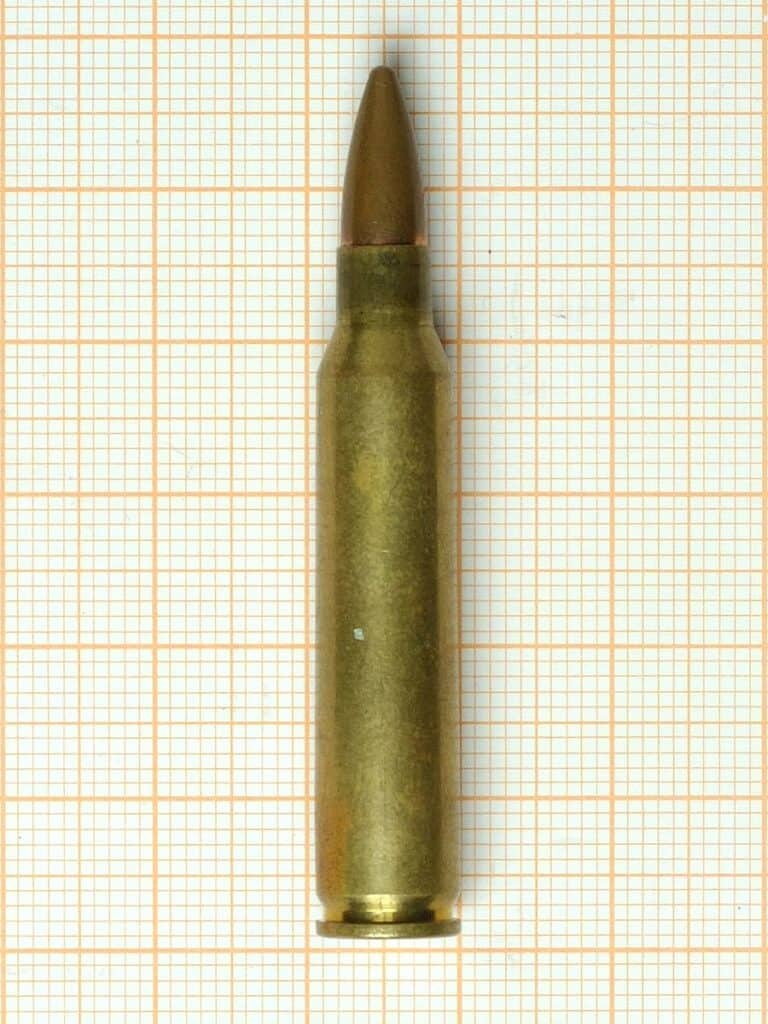 Cartridge .223 Remington CC BY SA 4.0 Grasyl