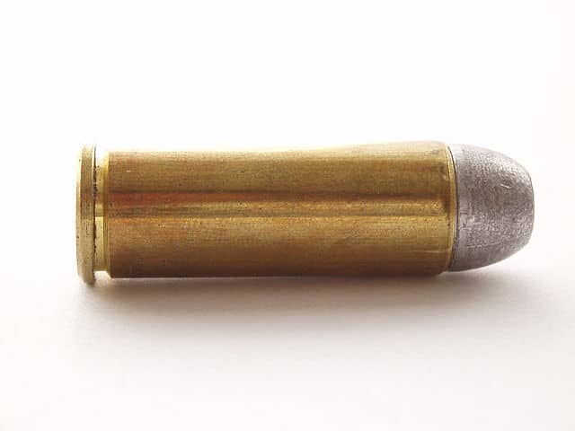 .45 Colt Cartridge