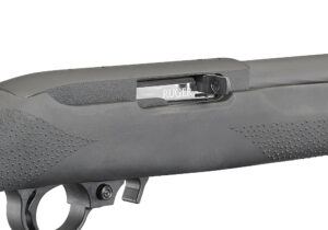 Ruger 10/22 Carbine - Best Overall .22 LR Rifle