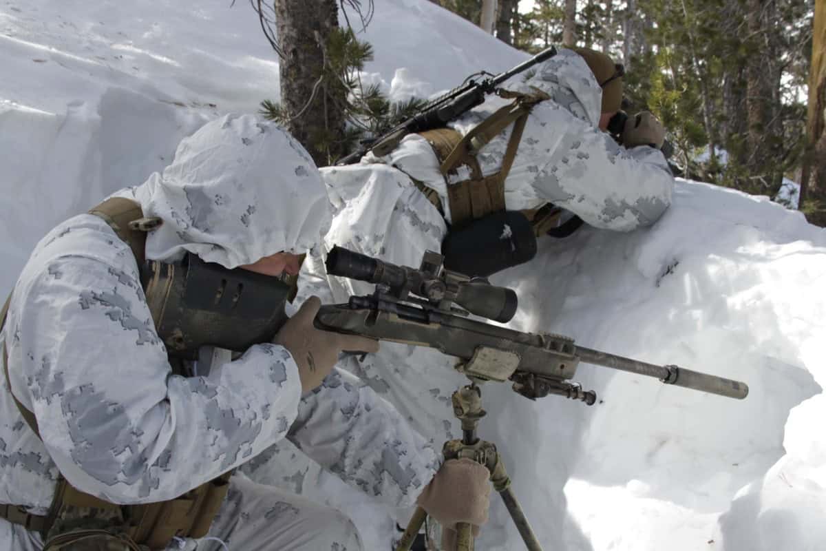 USMC Scout Snipers training with M40 sniper rifles in snow